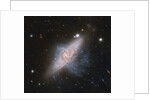 Overlapping galaxies by Anonymous