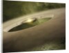 Artist's Conception of Planets Forming Around a Sun-like Star by Anonymous