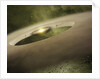 Artist's Conception of Planets Forming Around a Sun-like Star by Anonymous