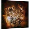 Large Magellanic Cloud galaxy in infrared light by Anonymous