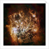 Large Magellanic Cloud galaxy in infrared light by Anonymous