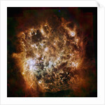 Large Magellanic Cloud galaxy in infrared light by Anonymous