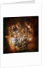 Large Magellanic Cloud galaxy in infrared light by Anonymous