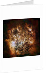 Large Magellanic Cloud galaxy in infrared light by Anonymous