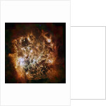 Large Magellanic Cloud galaxy in infrared light by Anonymous