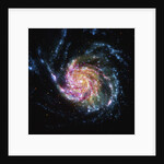 The Pinwheel Galaxy is in the constellation of Ursa Major by Anonymous