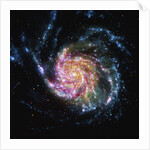 The Pinwheel Galaxy is in the constellation of Ursa Major by Anonymous