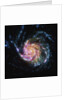 The Pinwheel Galaxy is in the constellation of Ursa Major by Anonymous
