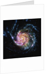 The Pinwheel Galaxy is in the constellation of Ursa Major by Anonymous