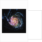The Pinwheel Galaxy is in the constellation of Ursa Major by Anonymous
