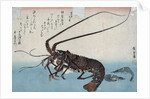 Shrimp and lobster by Ando Hiroshige