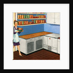 Housewife Walks into Her Large Kitchen Pantry. by Anonymous