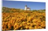 wildflowers add beauty to Coquille River Lighthouse, Bandon Beach, Oregon Coast, Pacific Northwest. by Anonymous