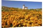 wildflowers add beauty to Coquille River Lighthouse, Bandon Beach, Oregon Coast, Pacific Northwest. by Anonymous
