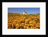 wildflowers add beauty to Coquille River Lighthouse, Bandon Beach, Oregon Coast, Pacific Northwest. by Anonymous