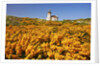 wildflowers add beauty to Coquille River Lighthouse, Bandon Beach, Oregon Coast, Pacific Northwest. by Anonymous