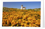 wildflowers add beauty to Coquille River Lighthouse, Bandon Beach, Oregon Coast, Pacific Northwest. by Anonymous