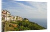 View of town on coastline by Anonymous