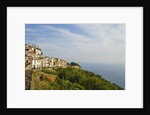View of town on coastline by Anonymous