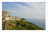 View of town on coastline by Anonymous