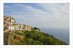 View of town on coastline by Anonymous