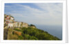 View of town on coastline by Anonymous