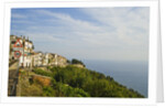 View of town on coastline by Anonymous