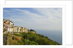View of town on coastline by Anonymous