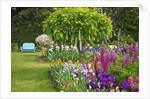 Schreiner Iris Gardens in Salem, Oregon by Anonymous