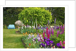 Schreiner Iris Gardens in Salem, Oregon by Anonymous