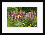 Schreiner Iris Gardens in Salem, Oregon by Anonymous