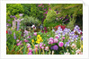 Schreiner Iris Gardens in Salem, Oregon by Anonymous
