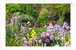 Schreiner Iris Gardens in Salem, Oregon by Anonymous