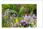 Schreiner Iris Gardens in Salem, Oregon by Anonymous