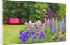 Schreiner Iris Gardens in Salem, Oregon by Anonymous