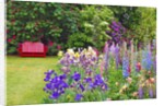 Schreiner Iris Gardens in Salem, Oregon by Anonymous