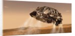 Curiosity and Descent Stage by Anonymous