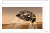 Curiosity and Descent Stage by Anonymous