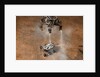 Curiosity Touching Down by Anonymous