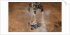 Curiosity Touching Down by Anonymous