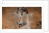 Curiosity Touching Down by Anonymous