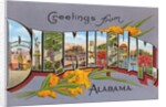 Greetings from Birmingham, Alabama by Anonymous