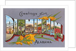 Greetings from Birmingham, Alabama by Anonymous
