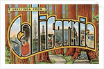 Greetings from California by Anonymous