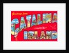 Greetings from Catalina Island, California by Anonymous
