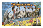 Greetings from Sunny California by Anonymous
