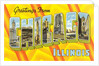 Greetings from Chicago, Illinois by Anonymous