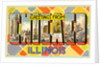 Greetings from Chicago, Illinois by Anonymous