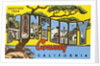 Greetings from Monterey County, California by Anonymous