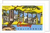 Greetings from Monterey County, California by Anonymous